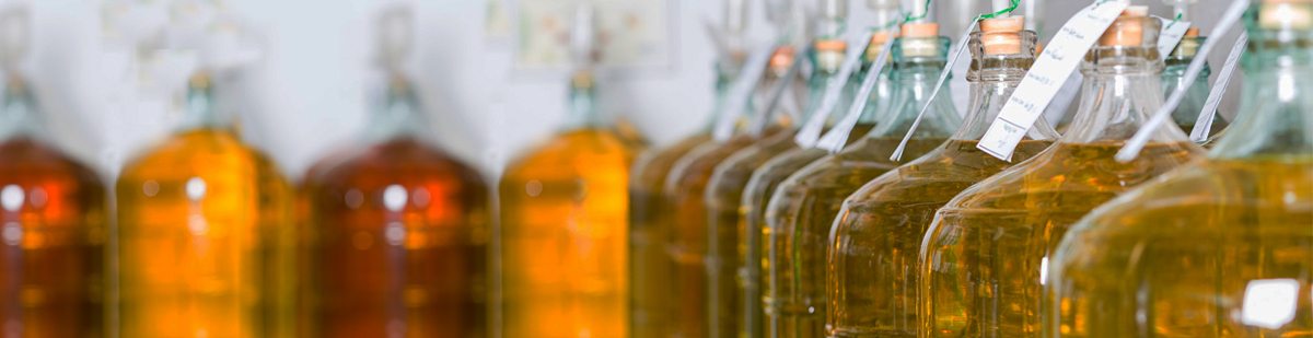 Row of glass carboys of wine in progress, each tagged with a label