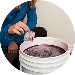 A winemaker sprinkling a sachet of yeast into a white fermenting bucket of purple juice