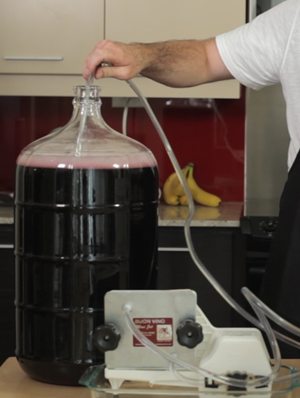 A carboy of red wine connected by clear tubing to a benchtop plate filter on a kitchen counter
