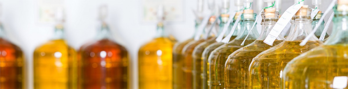 Row of glass carboys filled with fermenting wine, each labelled with a paper tag